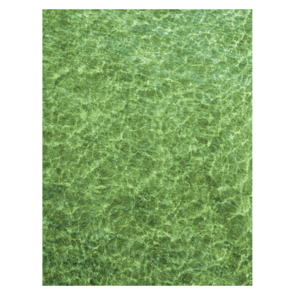 Tropical Aqua Maritime Mat